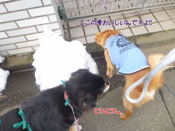 2人で仲良く雪を食べます♪