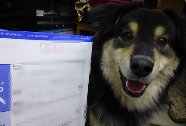 プレゼントが届いたんです♪
