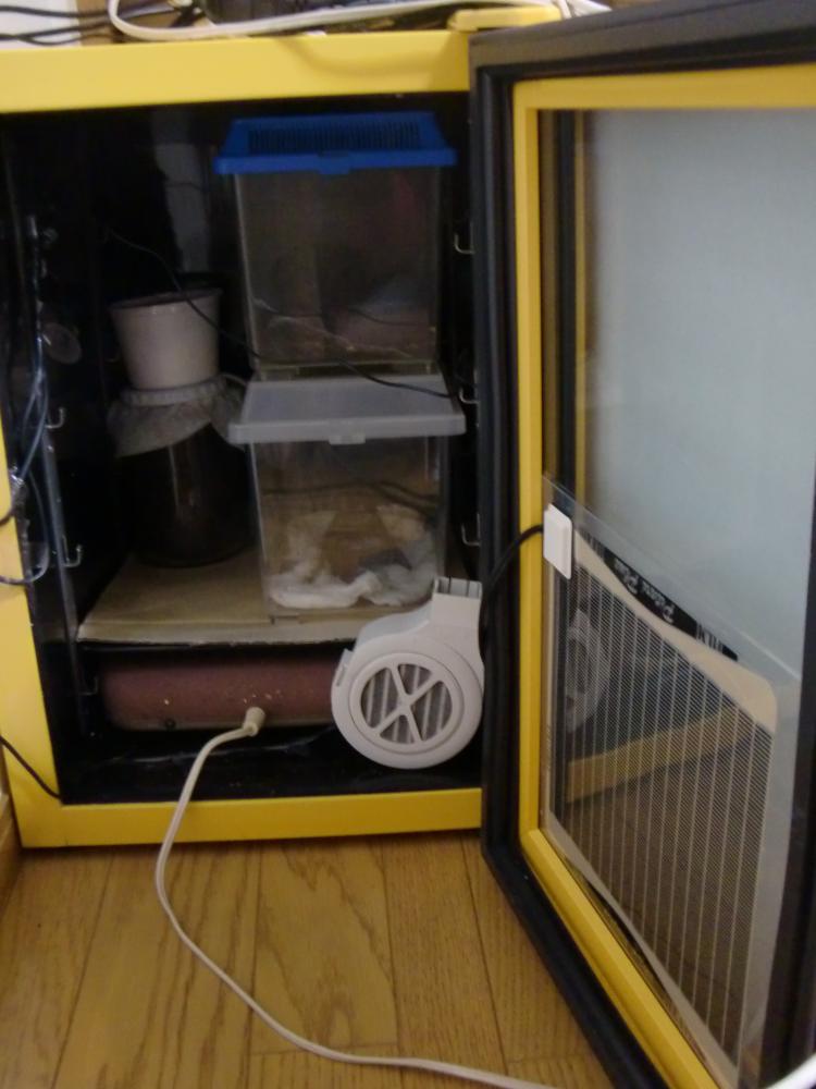 恒温器 内観