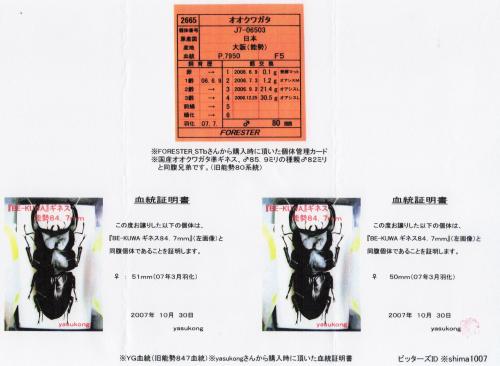 血統証明書