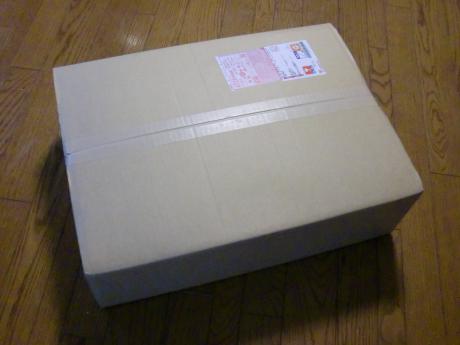 幼虫 届いたところ