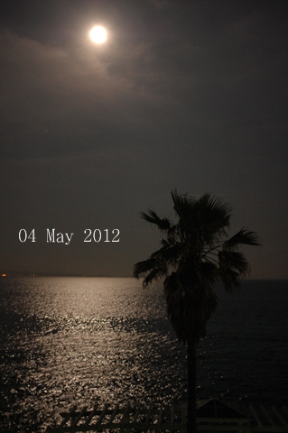 12060501