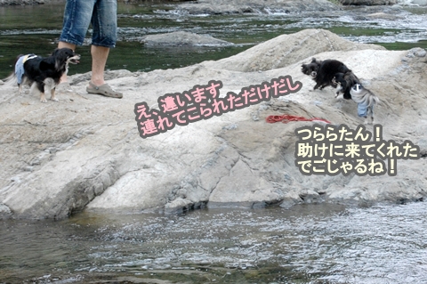 12080705