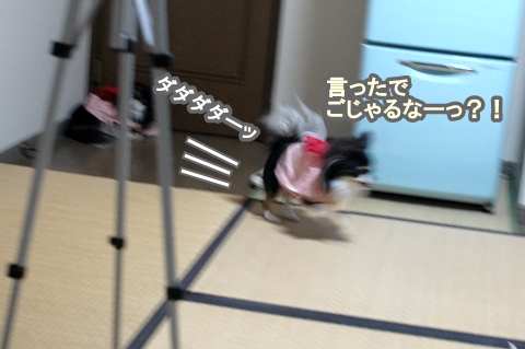 12081410