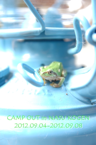 12092801