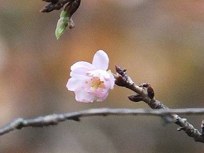 070_20121111113247.jpg