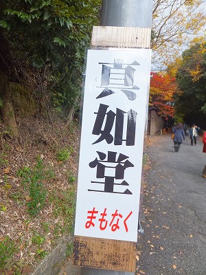 107_20121120194619.jpg