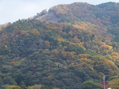 109_20121120195337.jpg