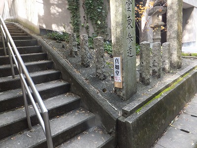 121.jpg