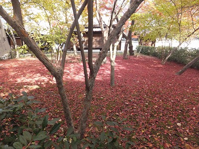 130.jpg