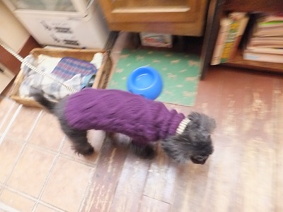 152_20121224164019.jpg