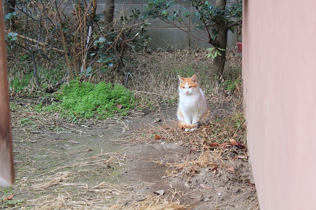 186_20130213120028.jpg