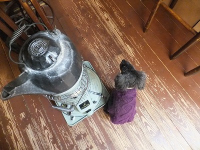 201.jpg