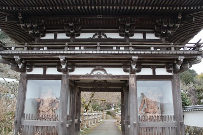 画像 1000