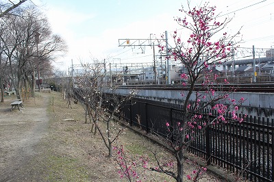 画像 1646