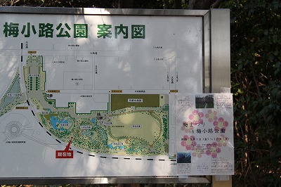 画像 1649
