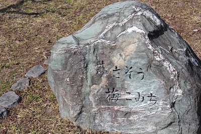 画像 1599