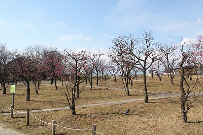 画像 1593