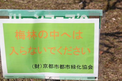 画像 1597