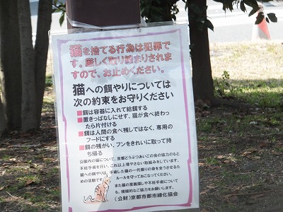 画像 1734
