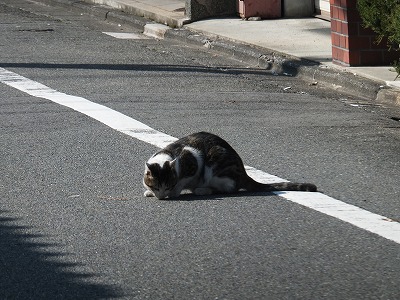 画像 1738