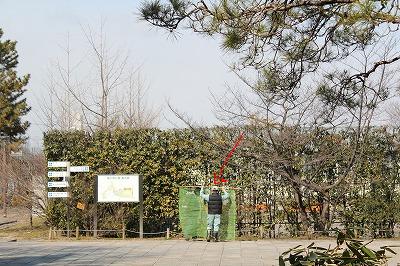 画像 1652