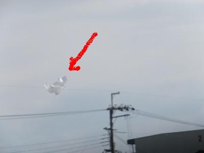画像 1752