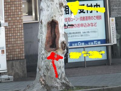 画像 1735