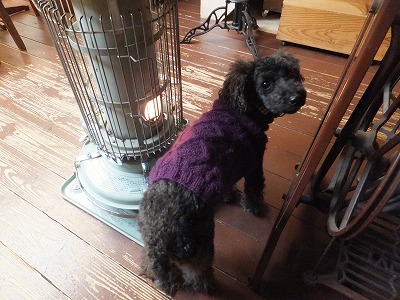 203_20121224164906.jpg