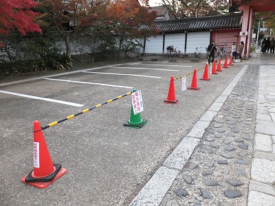 225.jpg