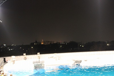 243_20130117013431.jpg