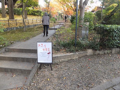 256.jpg