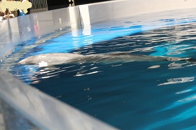 262_20130117013340.jpg