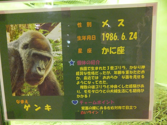 366_20121220185538.jpg