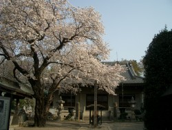 050409.jpg