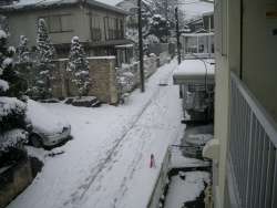 060123.jpg