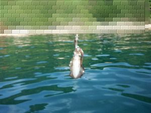 DSCF2082.jpg
