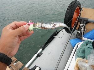 DSCF2110.jpg
