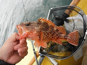 DSCF9511.jpg