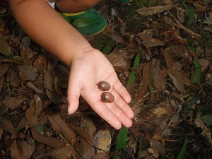 DSCF9741.jpg