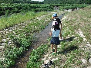 DSCF9765.jpg