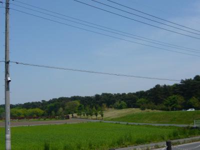 館林美術館と多々良沼1