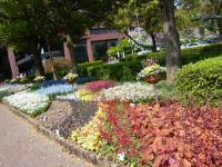 館林駅~つつじが岡公園8