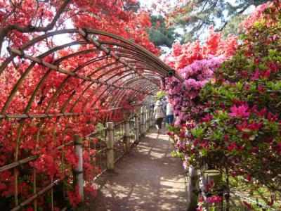 館林駅~つつじが岡公園19