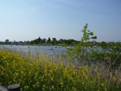 つつじが岡公園(つづき)1