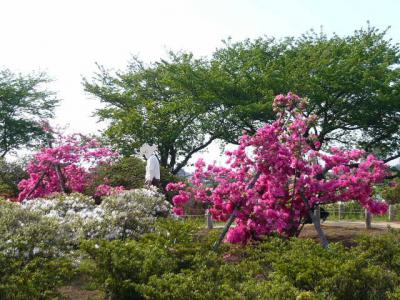 館林駅~つつじが岡公園23