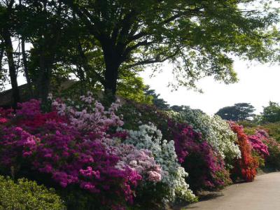 館林駅~つつじが岡公園24