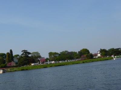 つつじが岡公園(つづき)4