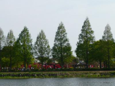 つつじが岡公園(つづき)5