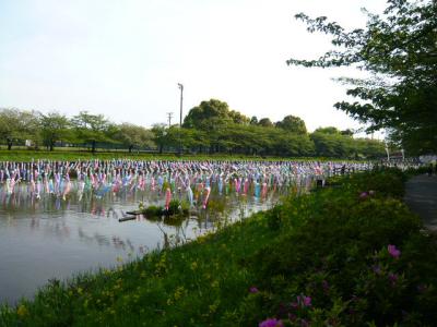 つつじが岡公園(つづき)7